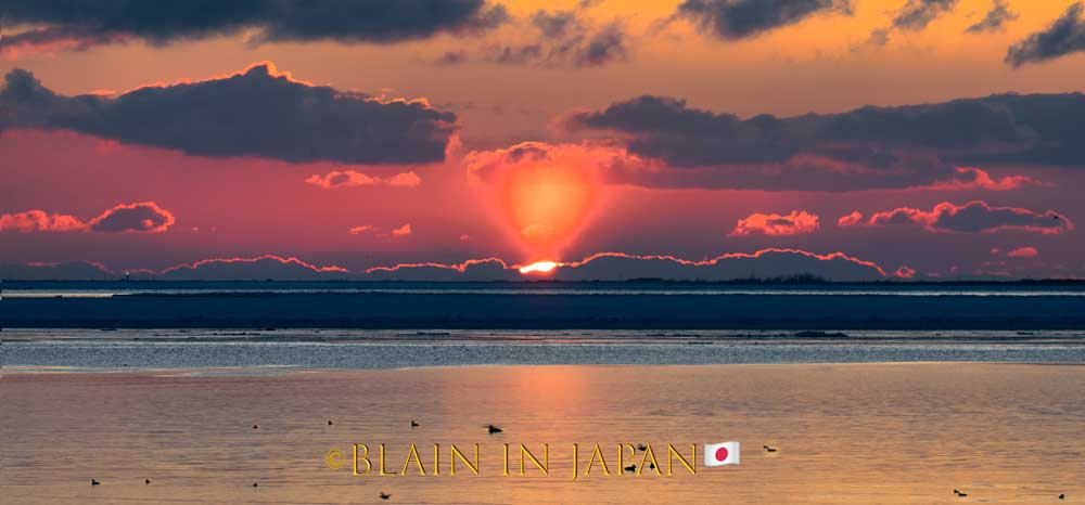 Hokkaido Minimalist Wildlife Photo Adventure: A Photographer’s Dream