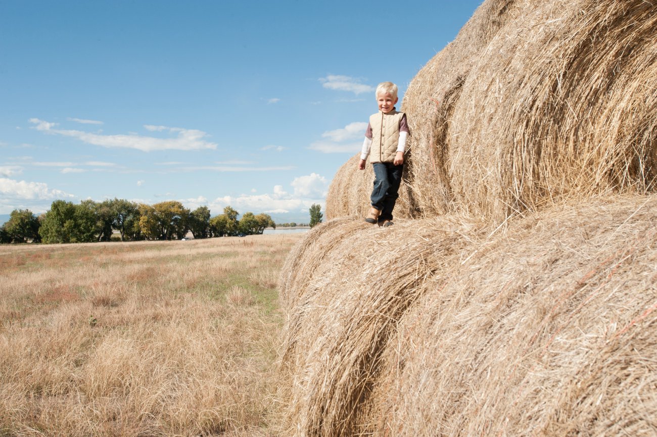 Kent Family Portraits