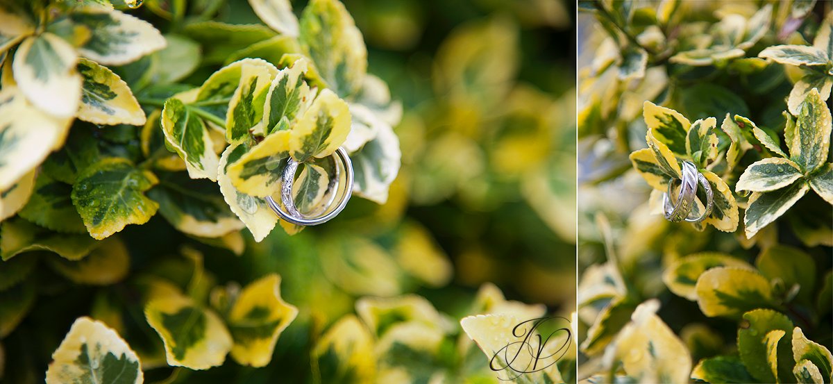 Wedding at The Queensbury Hotel, Lake George Wedding Photographer, wedding ring detail photo, wedding details