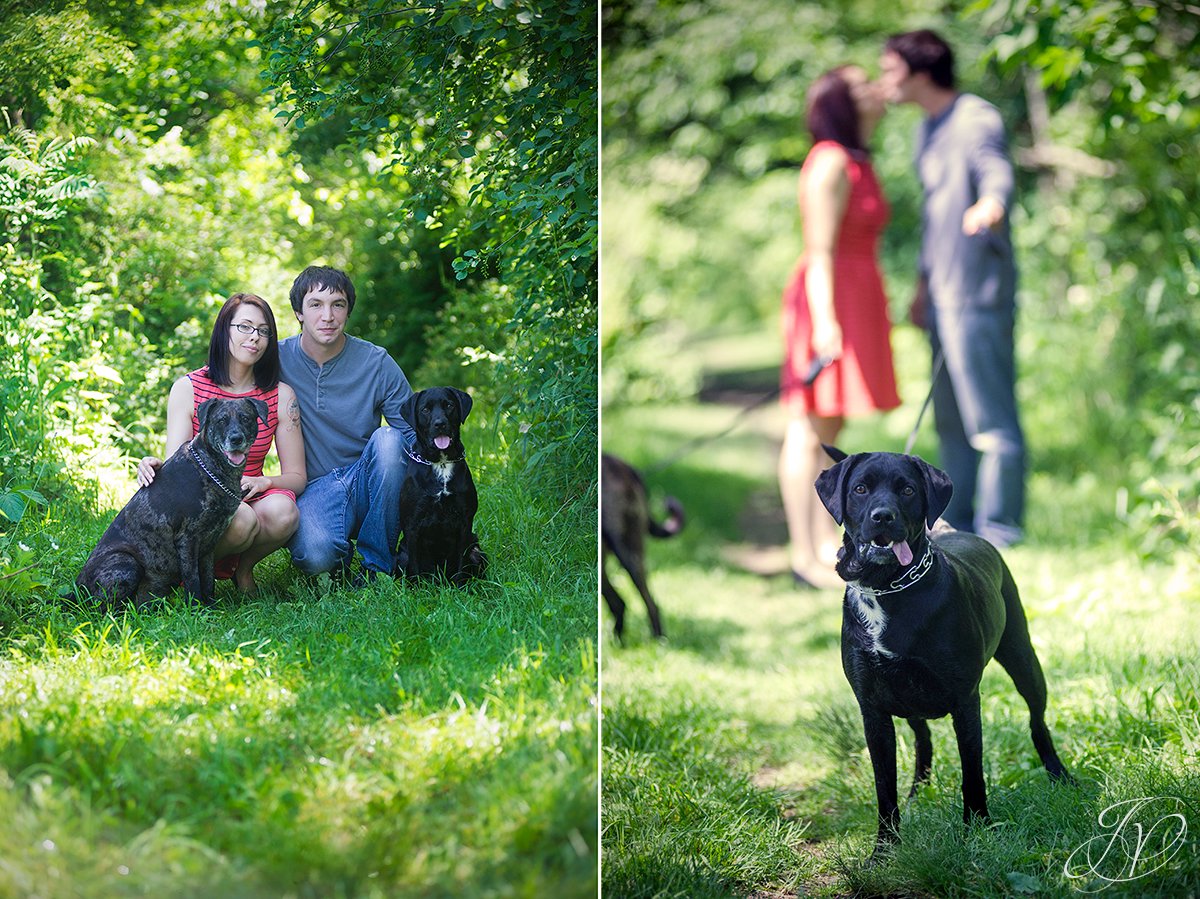 Saratoga Engagement Photographer, Albany Engagement, Engagement photo and pet, vischer ferry nature preserve