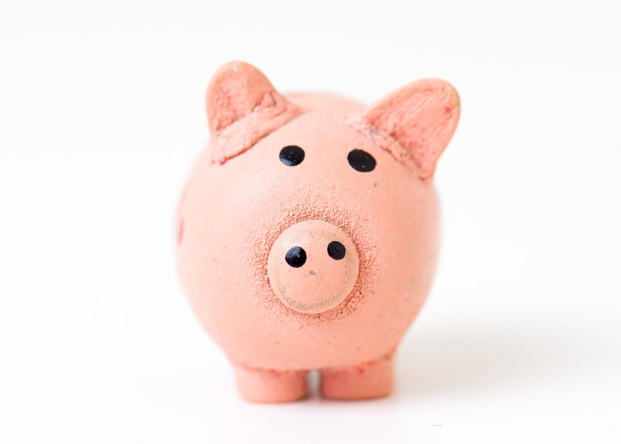 Jenn Lewis: Pro Photographer Ready for Business