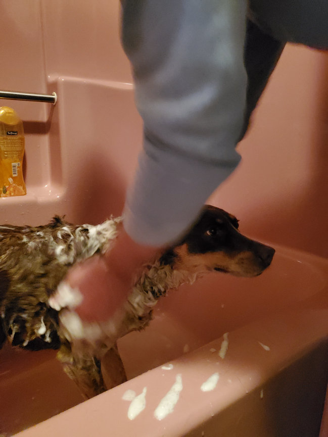 My Miracle Journey: Day 29