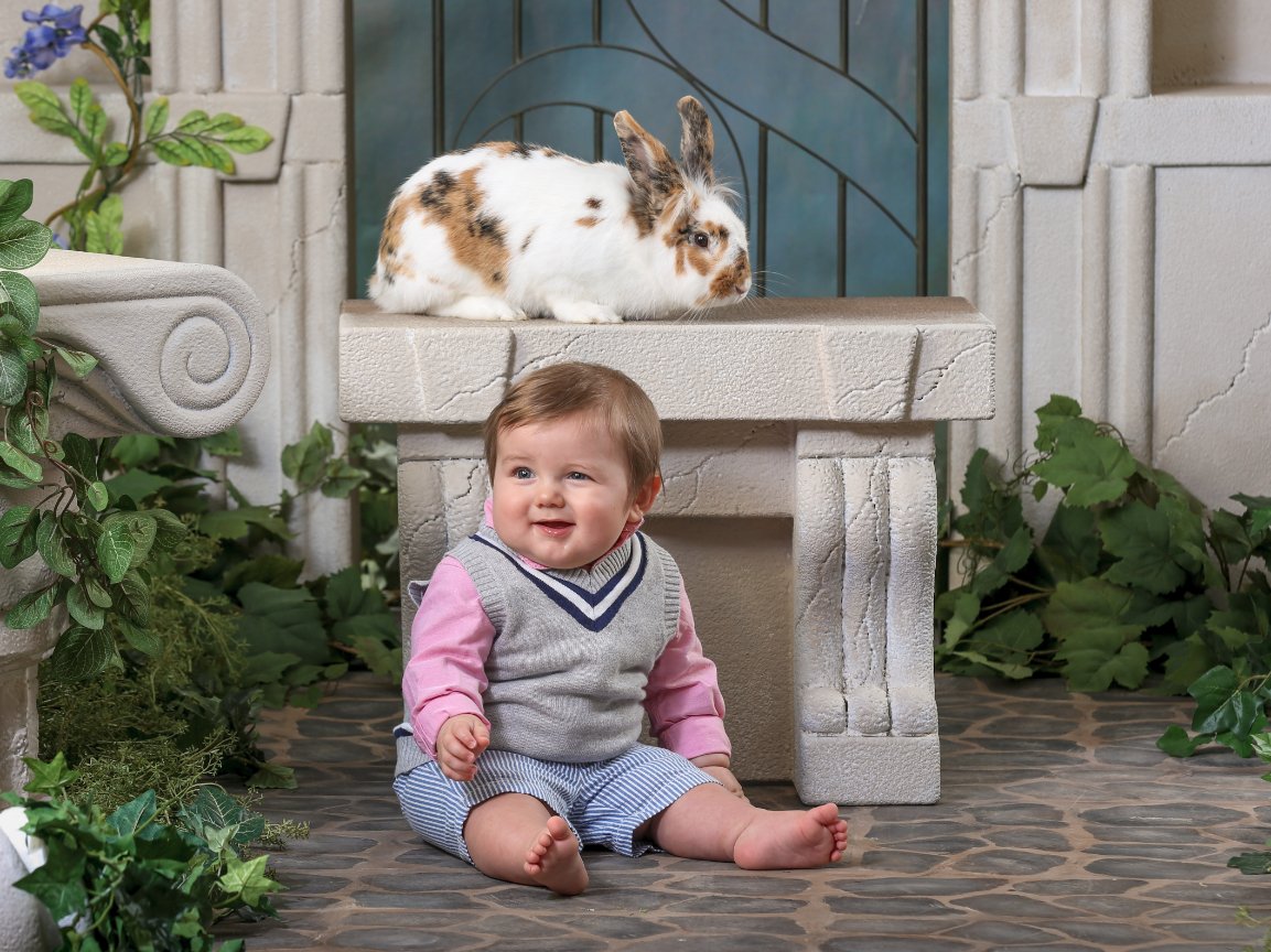 Canvas/Metallic Portraits