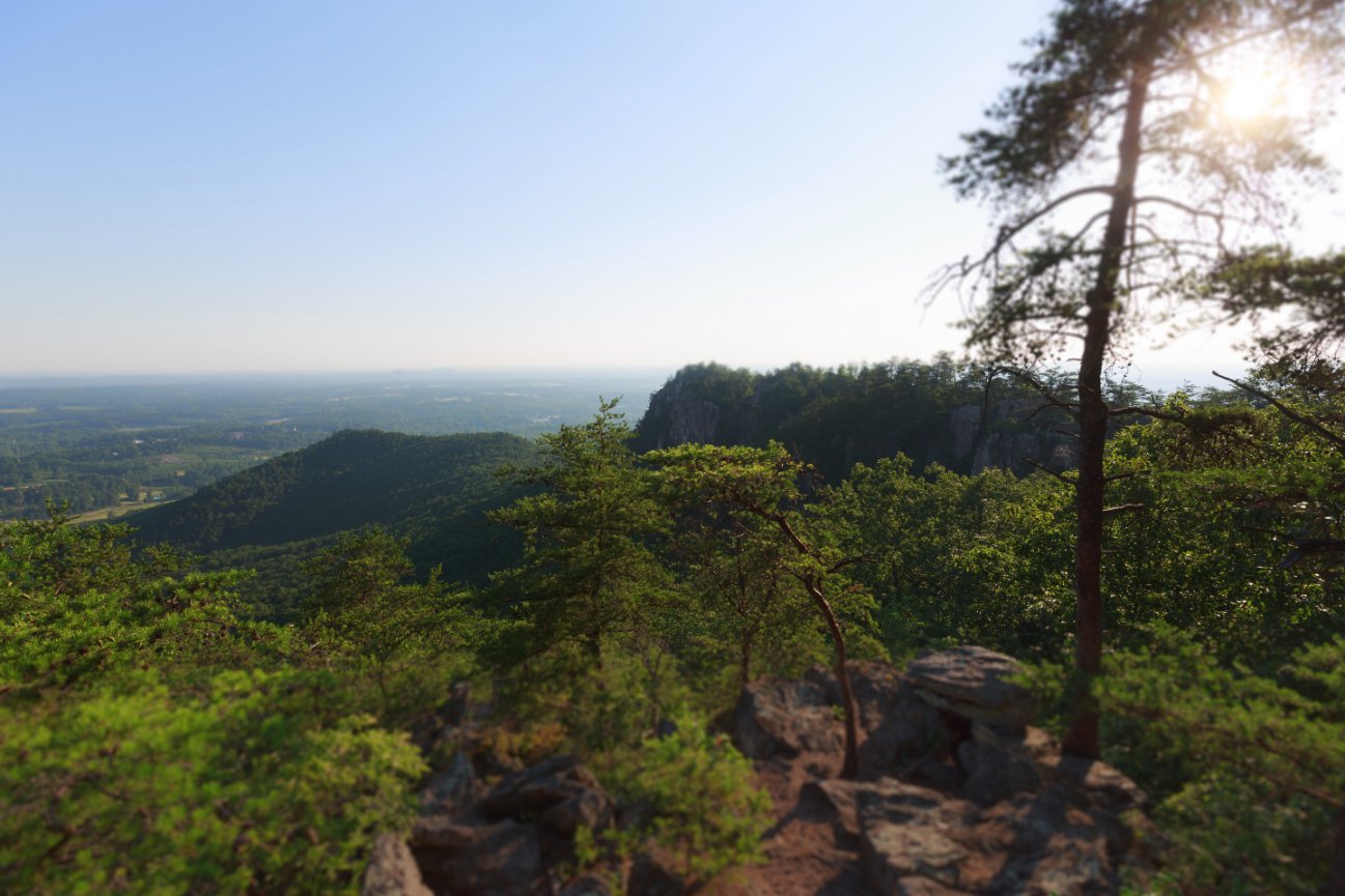 ANGELA + TRAVIS: Crowder's Mountain Anniversary Session - Jeni Buchanan Photography