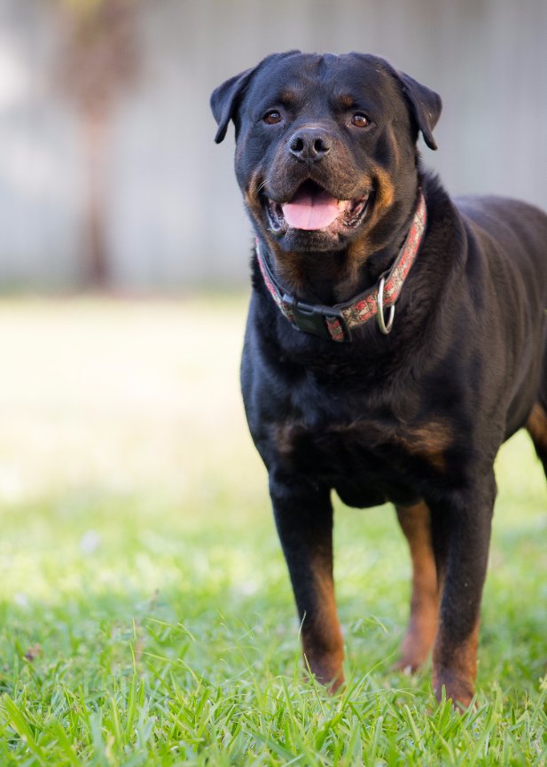 I am in Lovvvvve with...