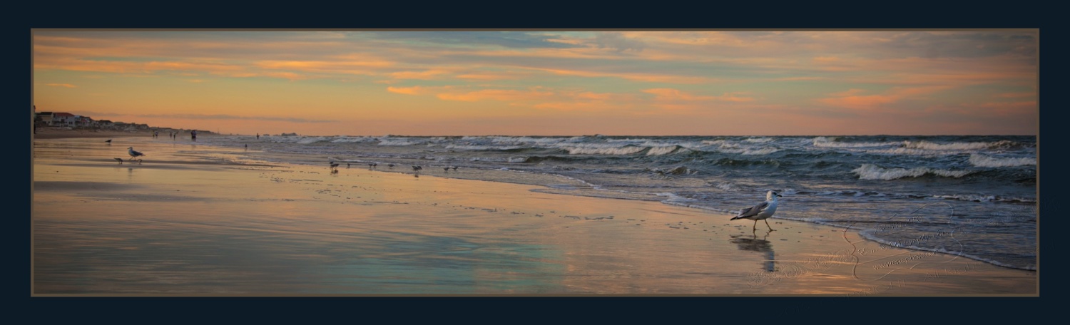 family with twins portraits