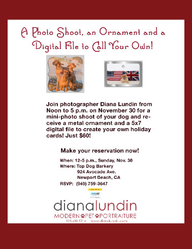 pet photographer orange county