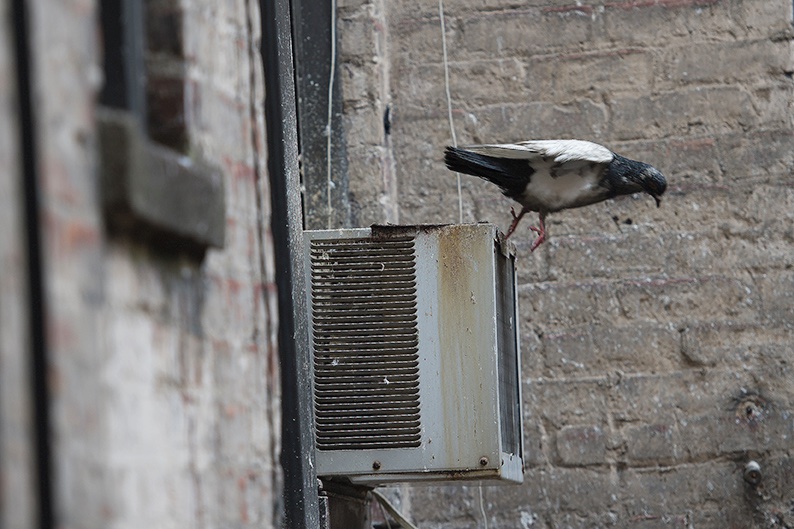 2024 TODOS SANTOS, BCS, WEEK 4