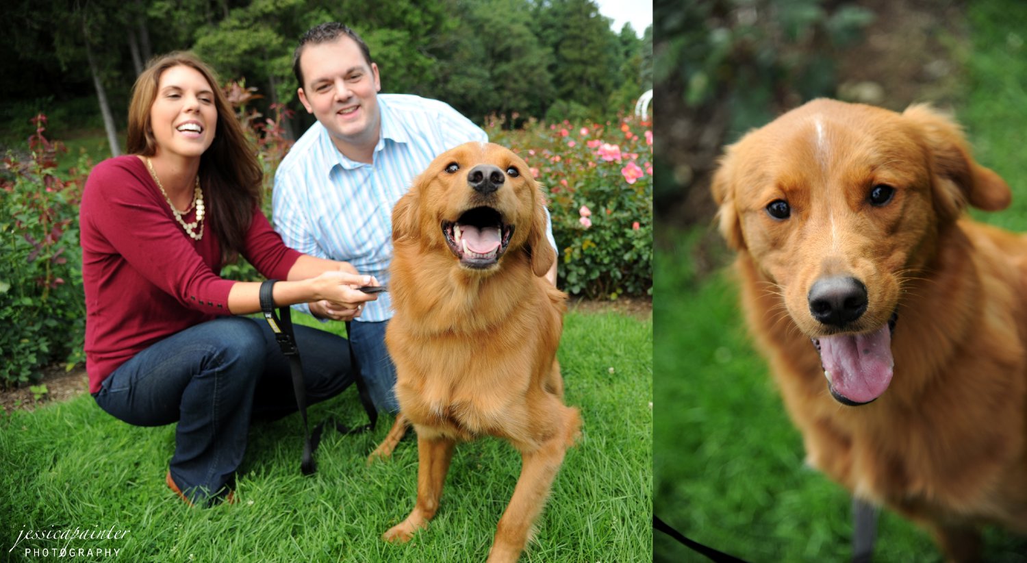 Schenectady Rose garden, Engagement Session, Dog Photo