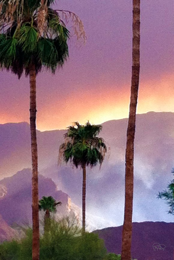 Cap and Cork 20x30/Custom