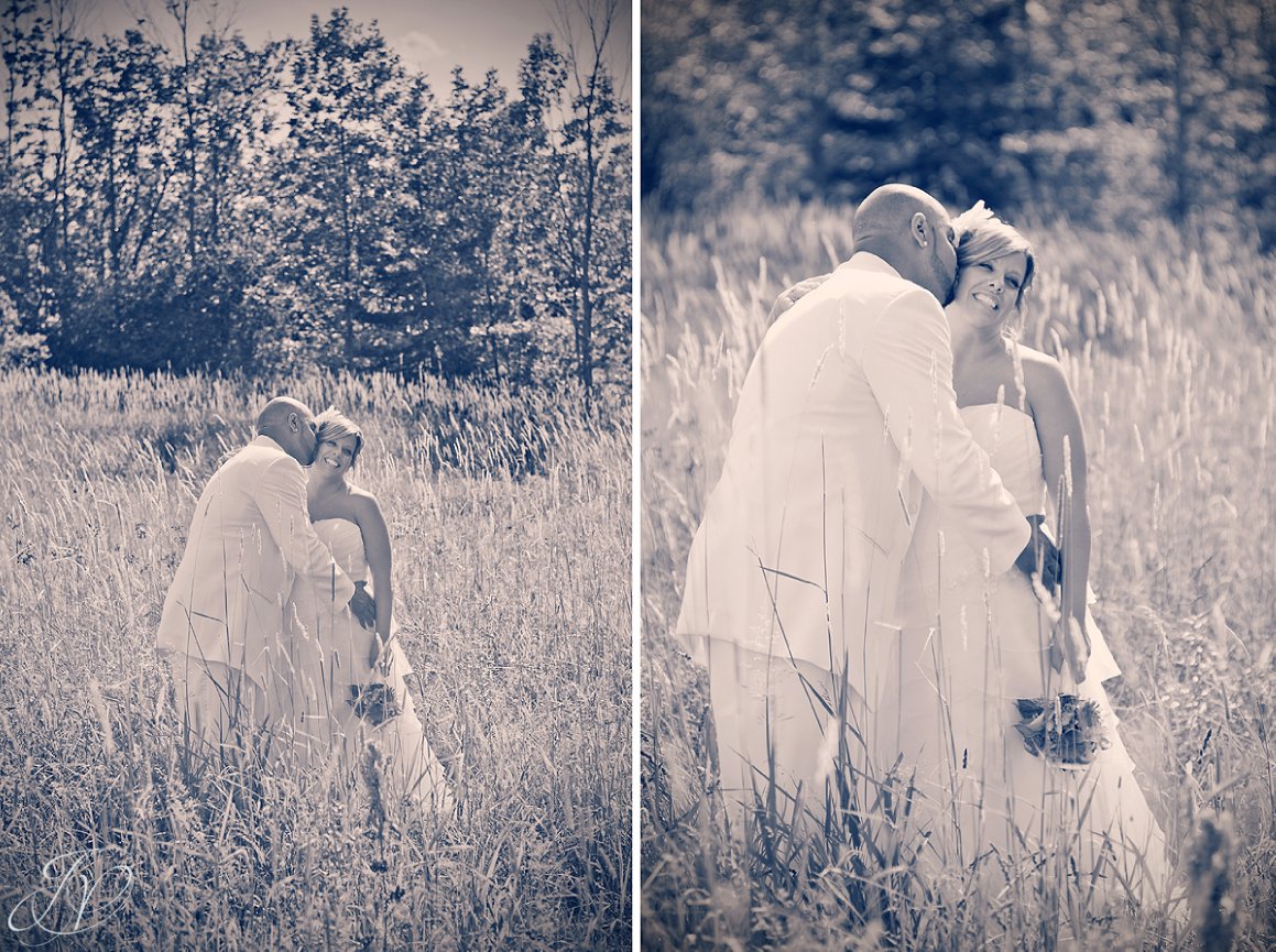 Settle Hill Tree Farm Wedding ,Albany Wedding Photographer, Michele and Sean, bride and groom photo, bride and groom portrait, bride and groom in field