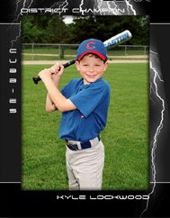 Magnets purchased w/package