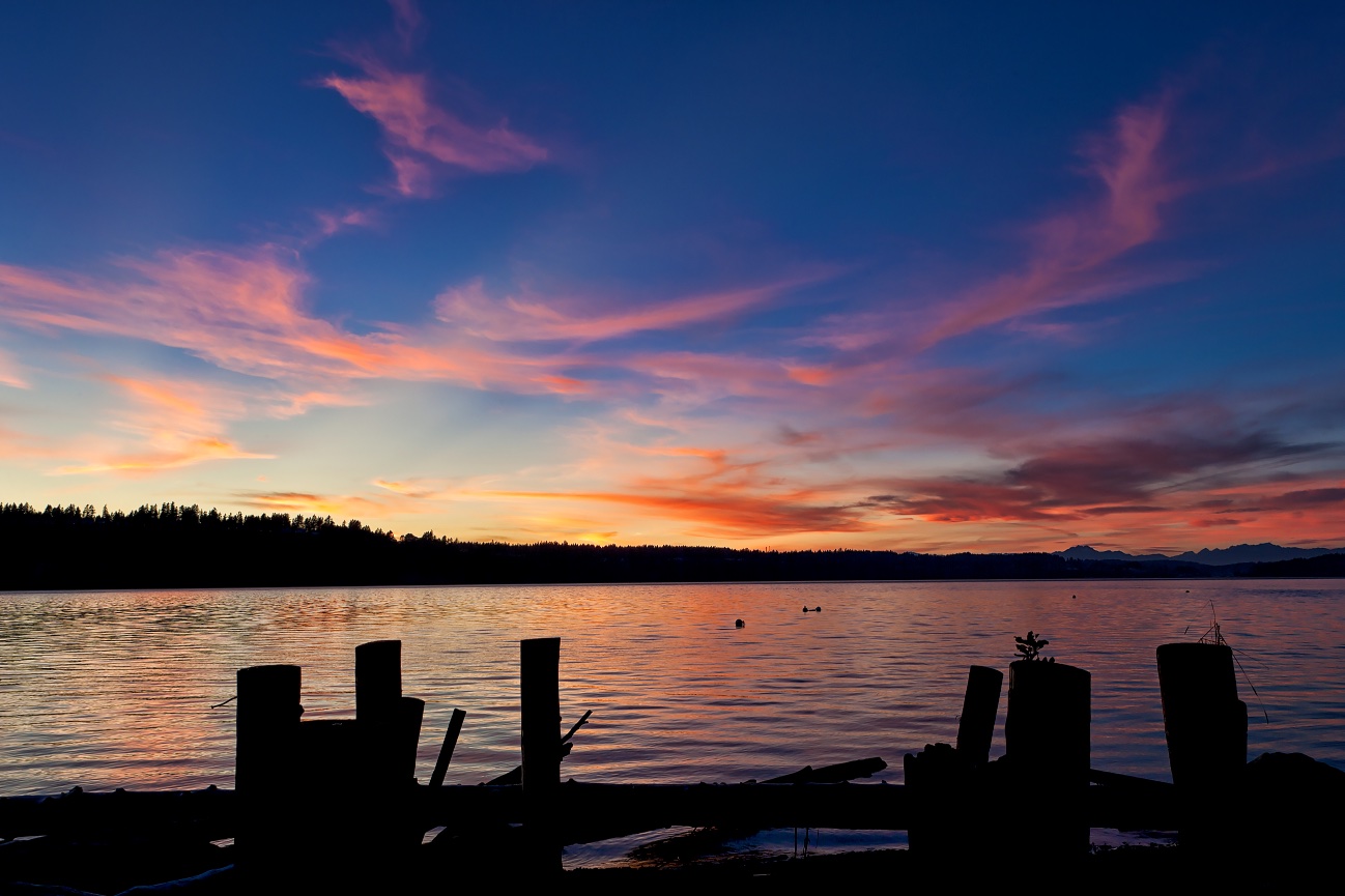 Salmon Beach, North Tacoma - 111017-229