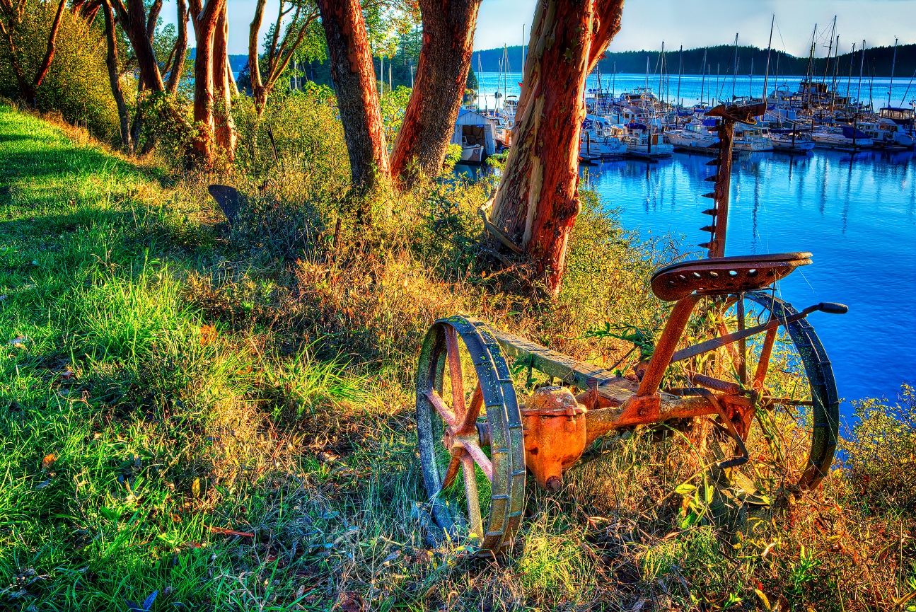 Orcas Island in the San Juans - 002557