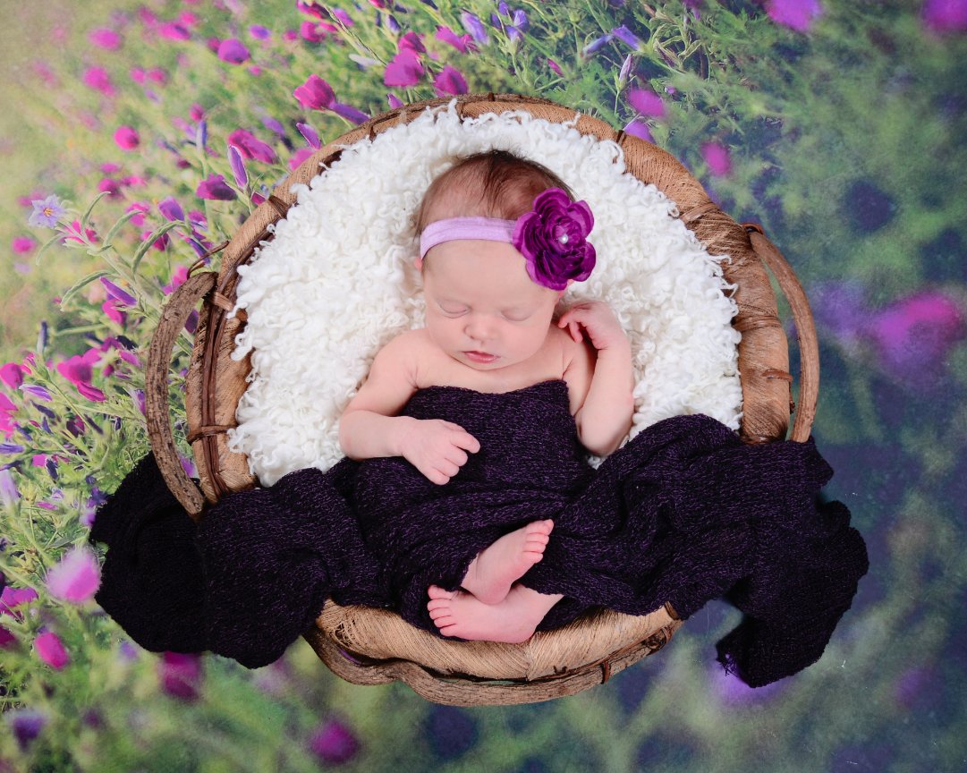 6 Month Milestone Session - Baby's Premiere First Year Package - Bella Mi Photograpy