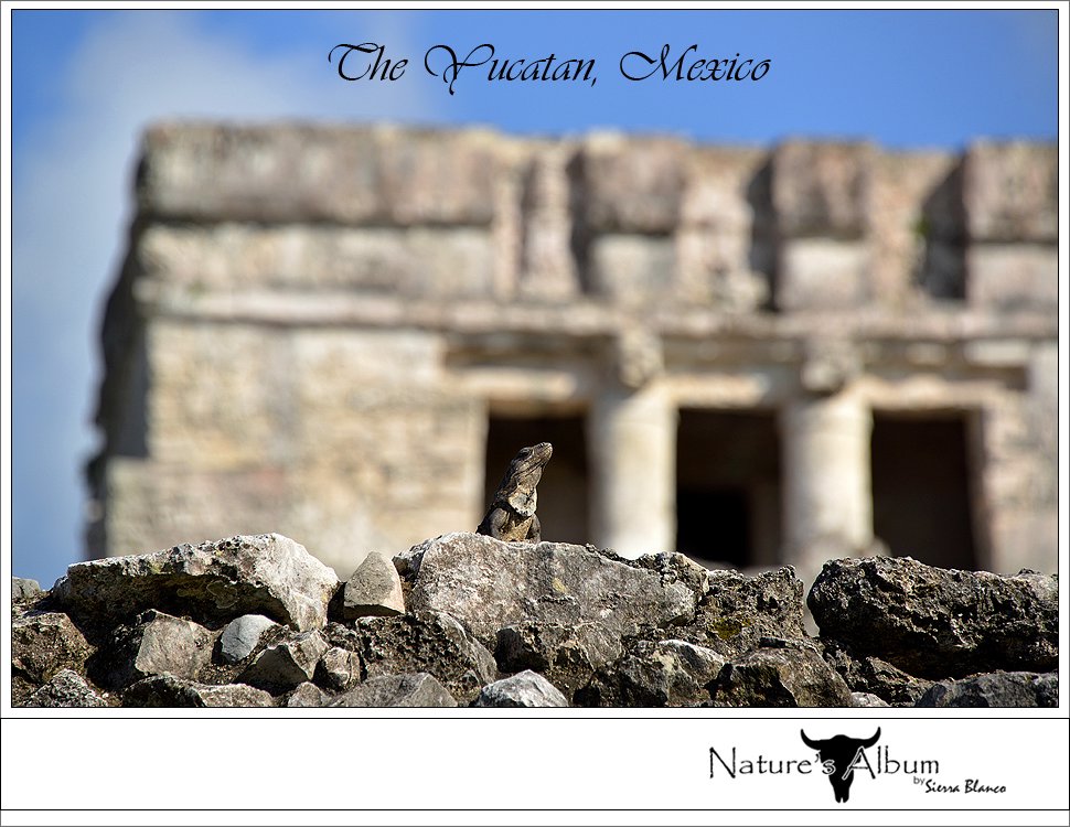 THE SPECTACLE THAT IS YOSEMITE FIREFALL