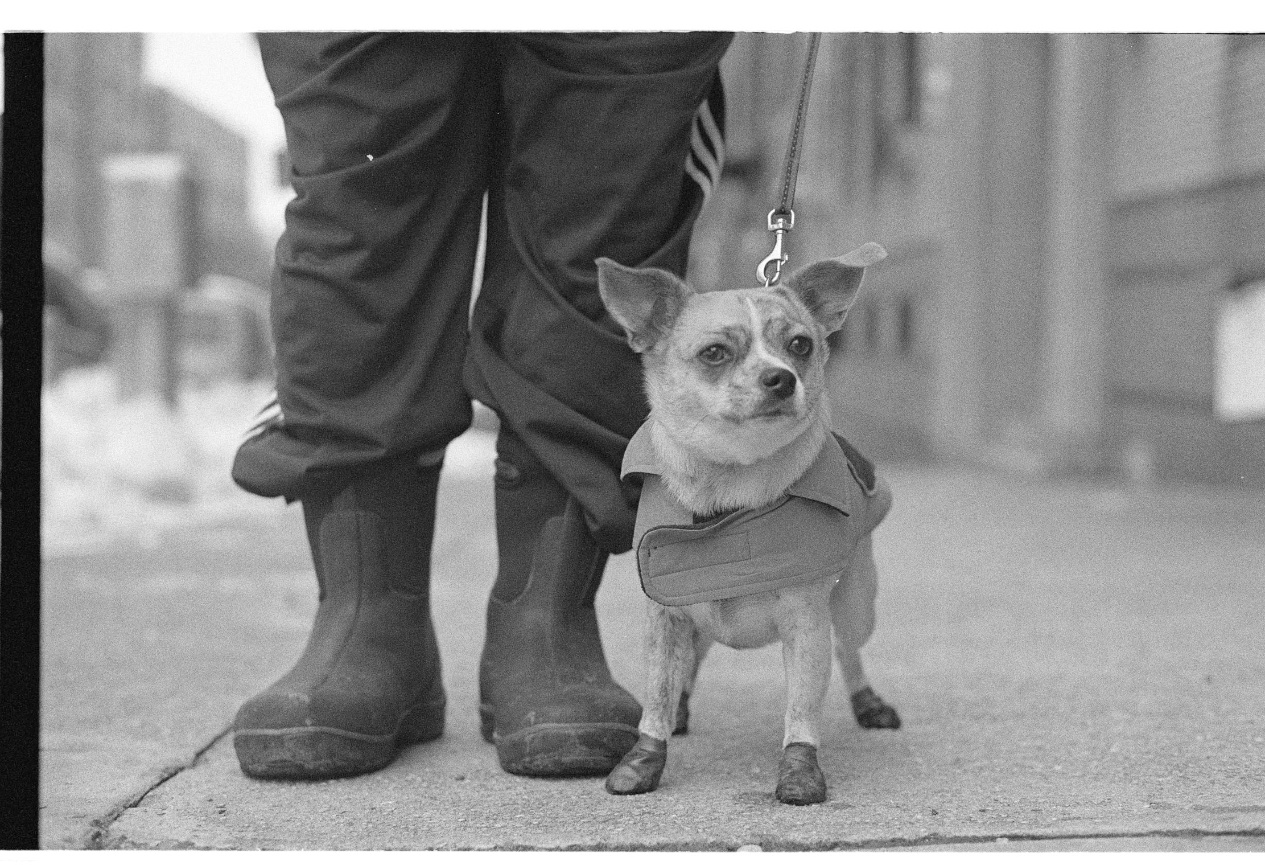 2024 TODOS SANTOS, BCS, WEEK 4