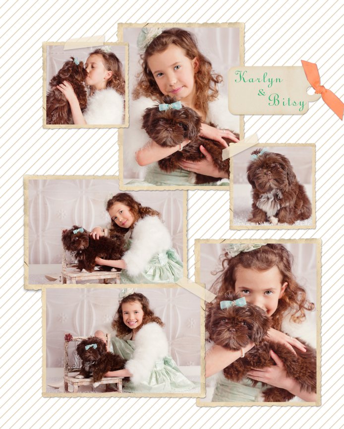 16x20 Custom Love Storyboard