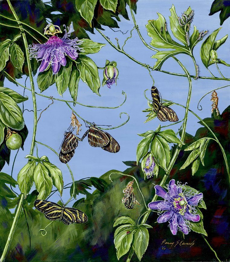 What is your philosophy?