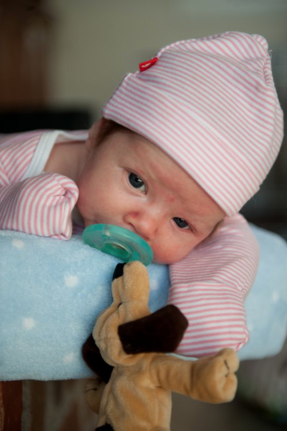 Baby Girl Newborn Portraits - Colorado