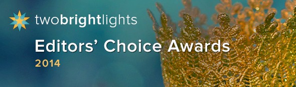 two bright lights charlotte NC north carolina wedding photographers award winning published featured photographers photography photo