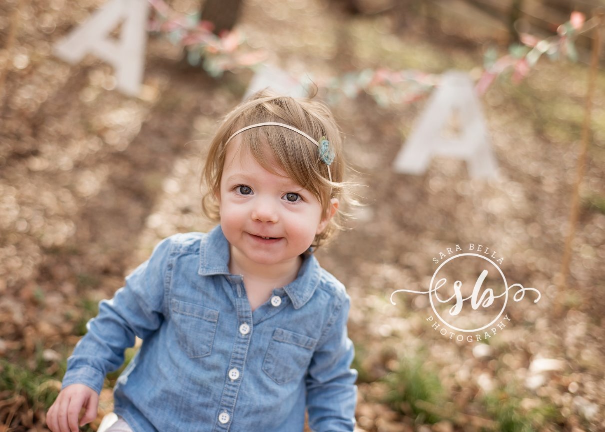 Keller, 1st birthday, princess, gold crown, girl