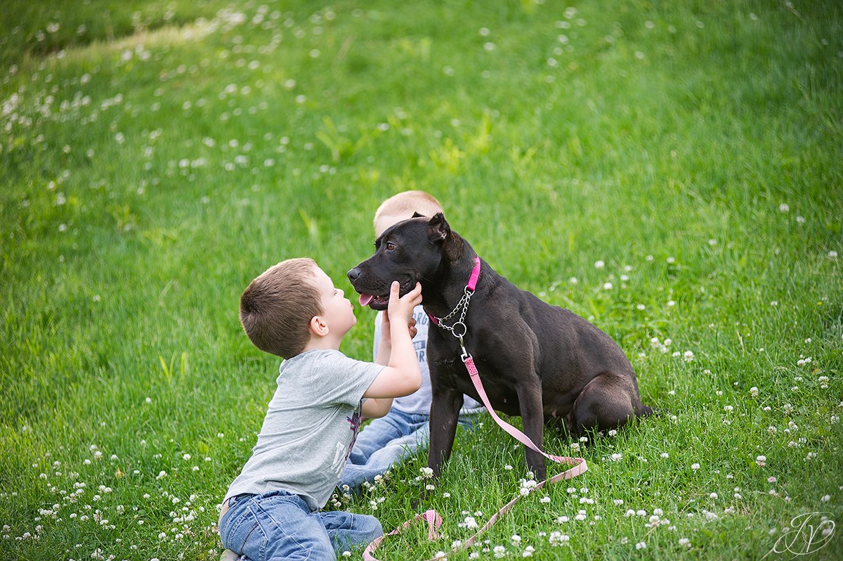 jessica painter photography, albany portrait photographer