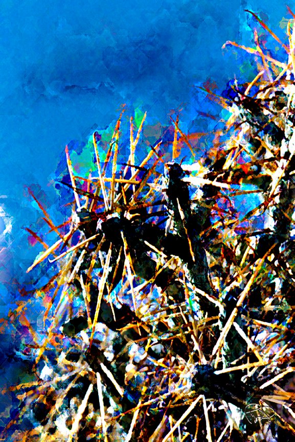 Whale Passing Through 14x25 / 22x40 / Custom