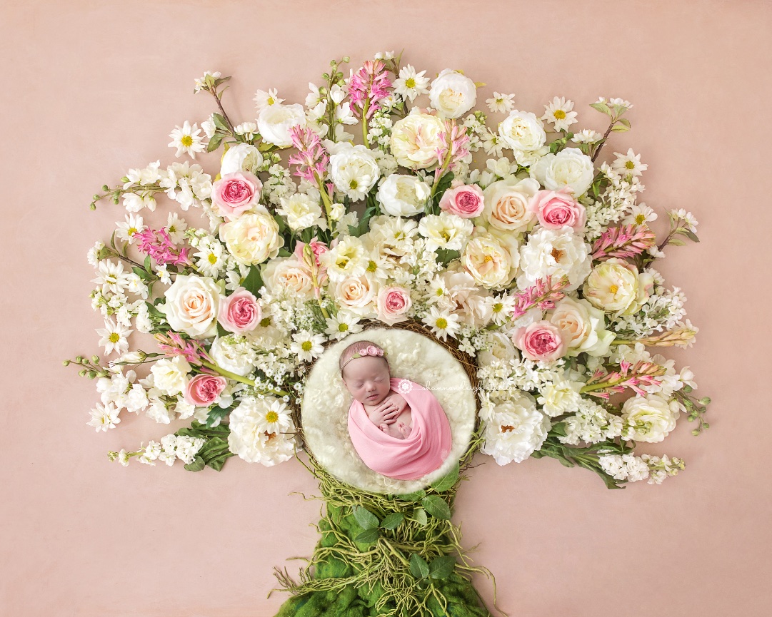 Gorgeous Emersyn - Cumming Newborn Baby Photographer 