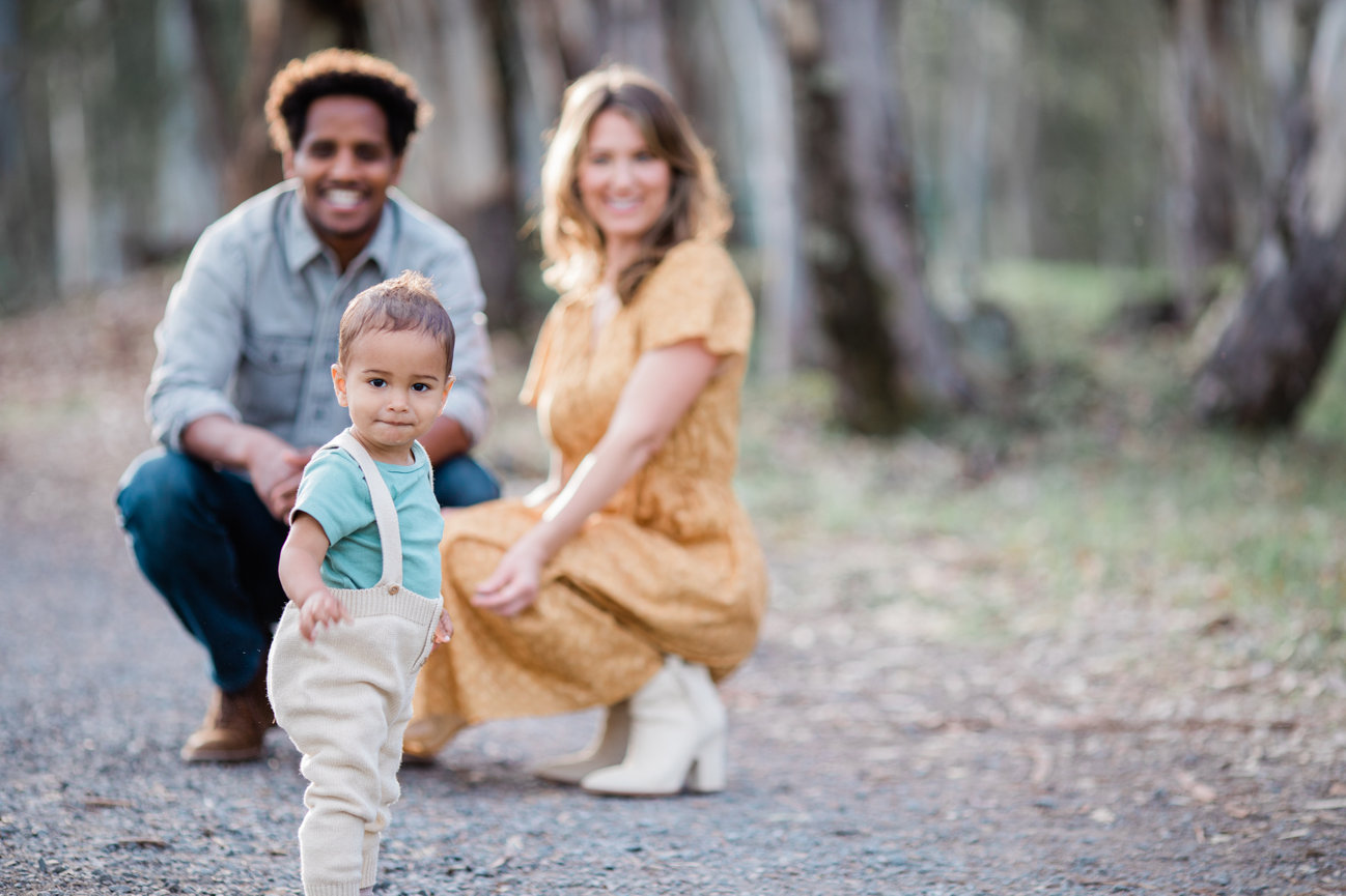 A Stunning Indian-American Wedding at Limerick Lane Cellars in Healdsburg Studio J Portraits