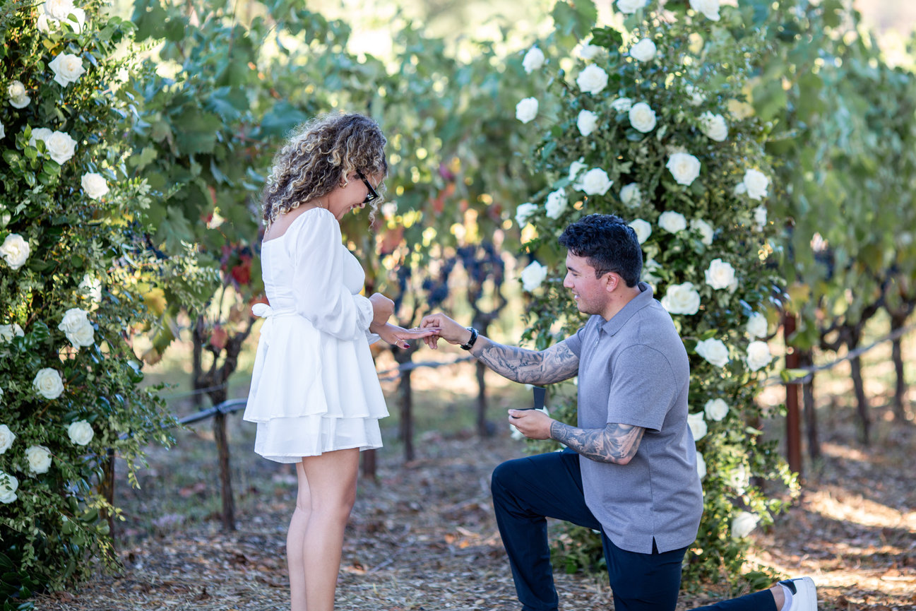 A Stunning Indian-American Wedding at Limerick Lane Cellars in Healdsburg Studio J Portraits