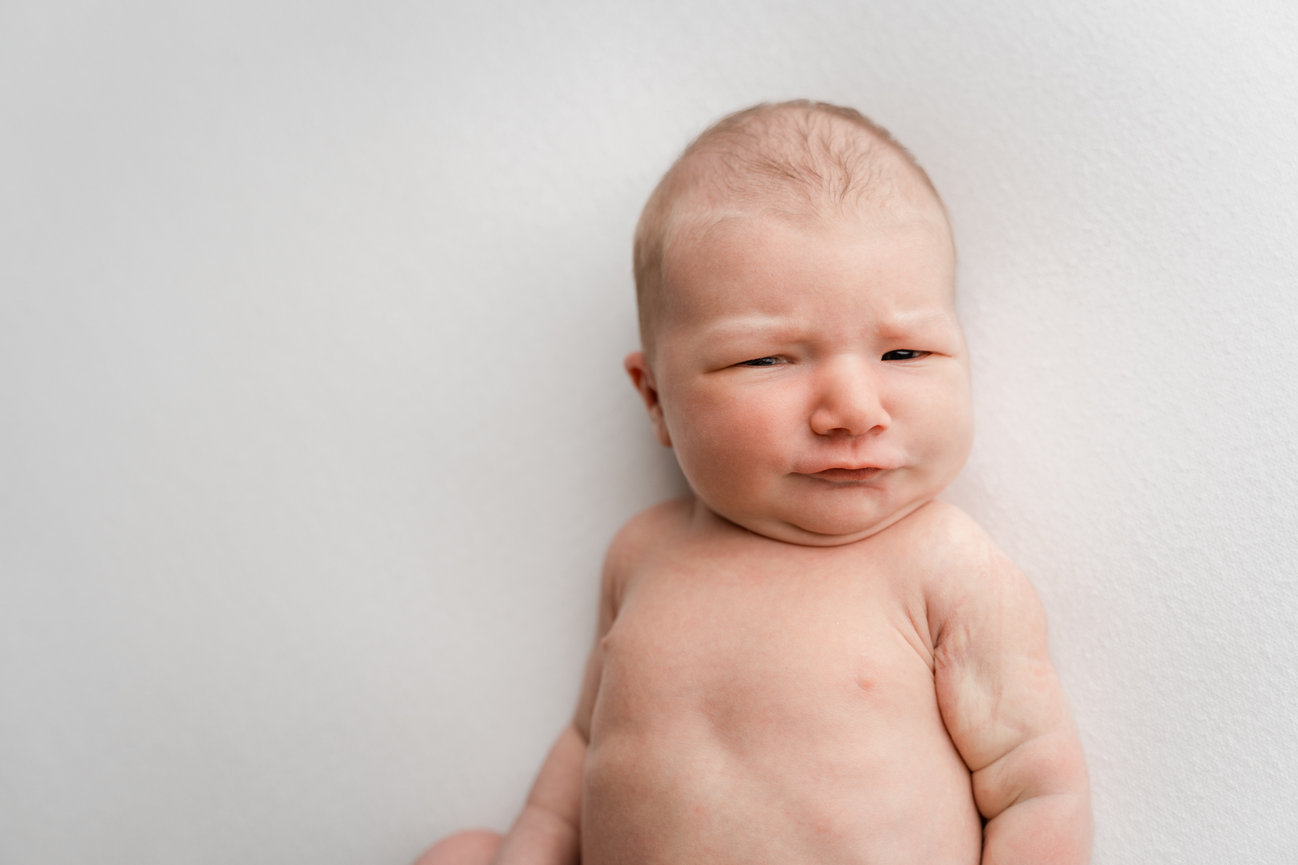 The Grove at City Market