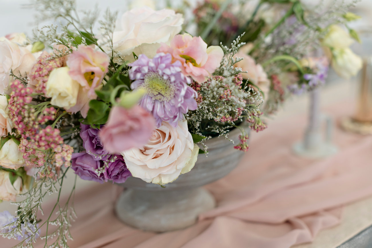 Easton-Conroe Senior Photographer