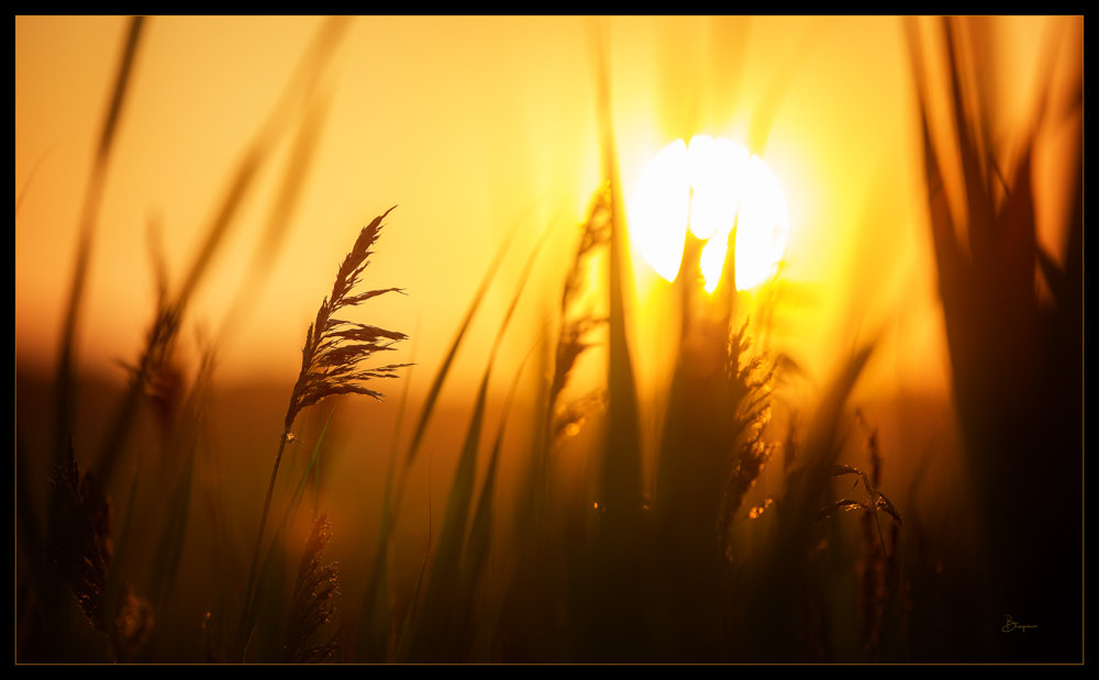 SENIOR PORTRAIT SESSION
