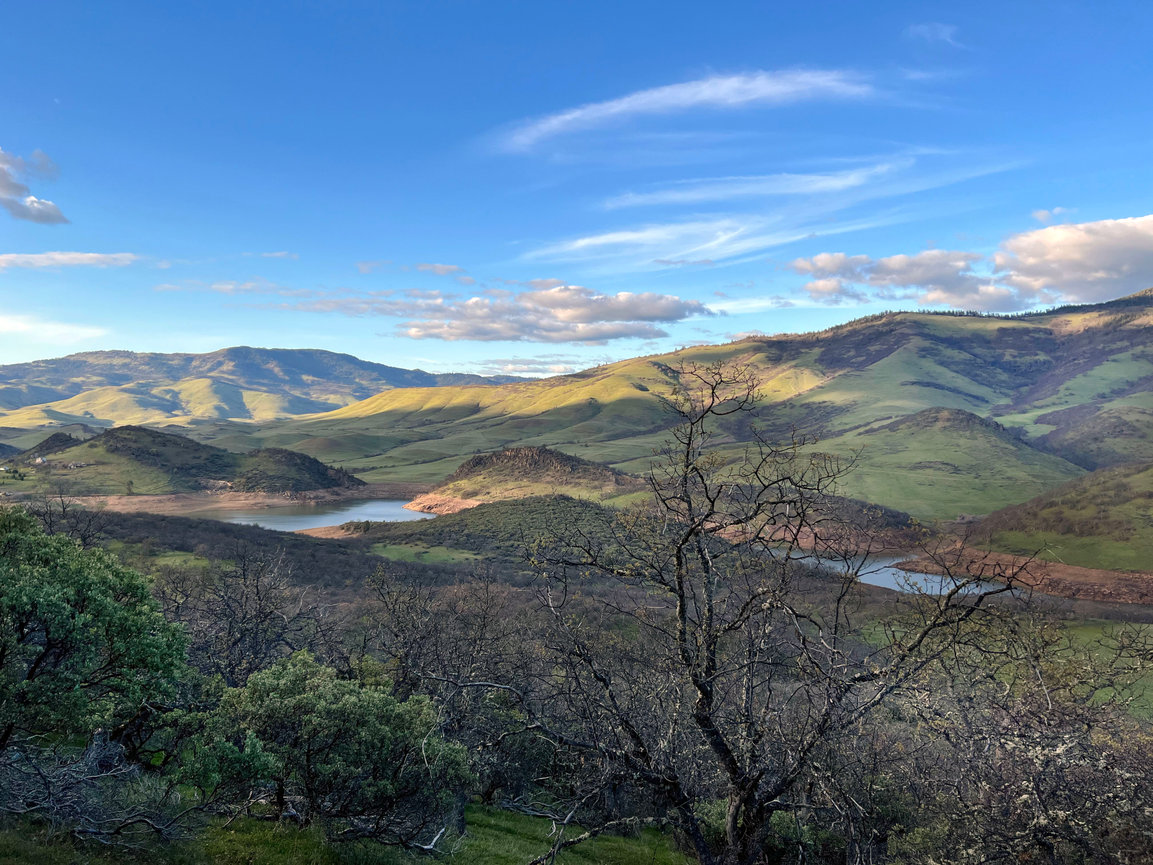 What Spring Teaches Me About Letting Go (And Holding On)