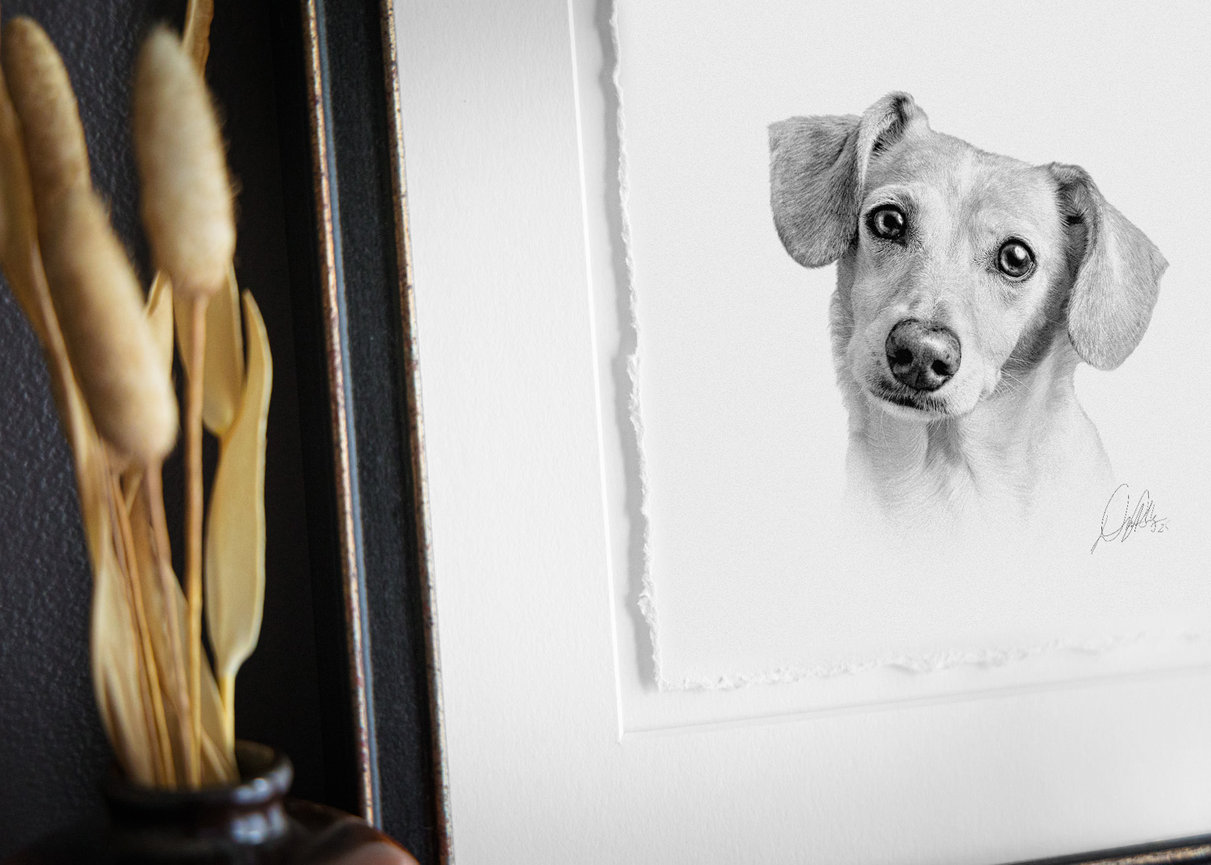 DRESSED FOR TIMELESSNESS