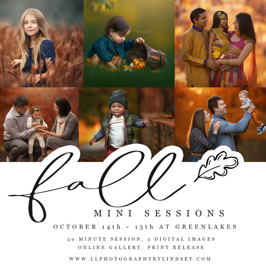 Senior Photography in Syracuse, NY  Lindsey Lee Photography