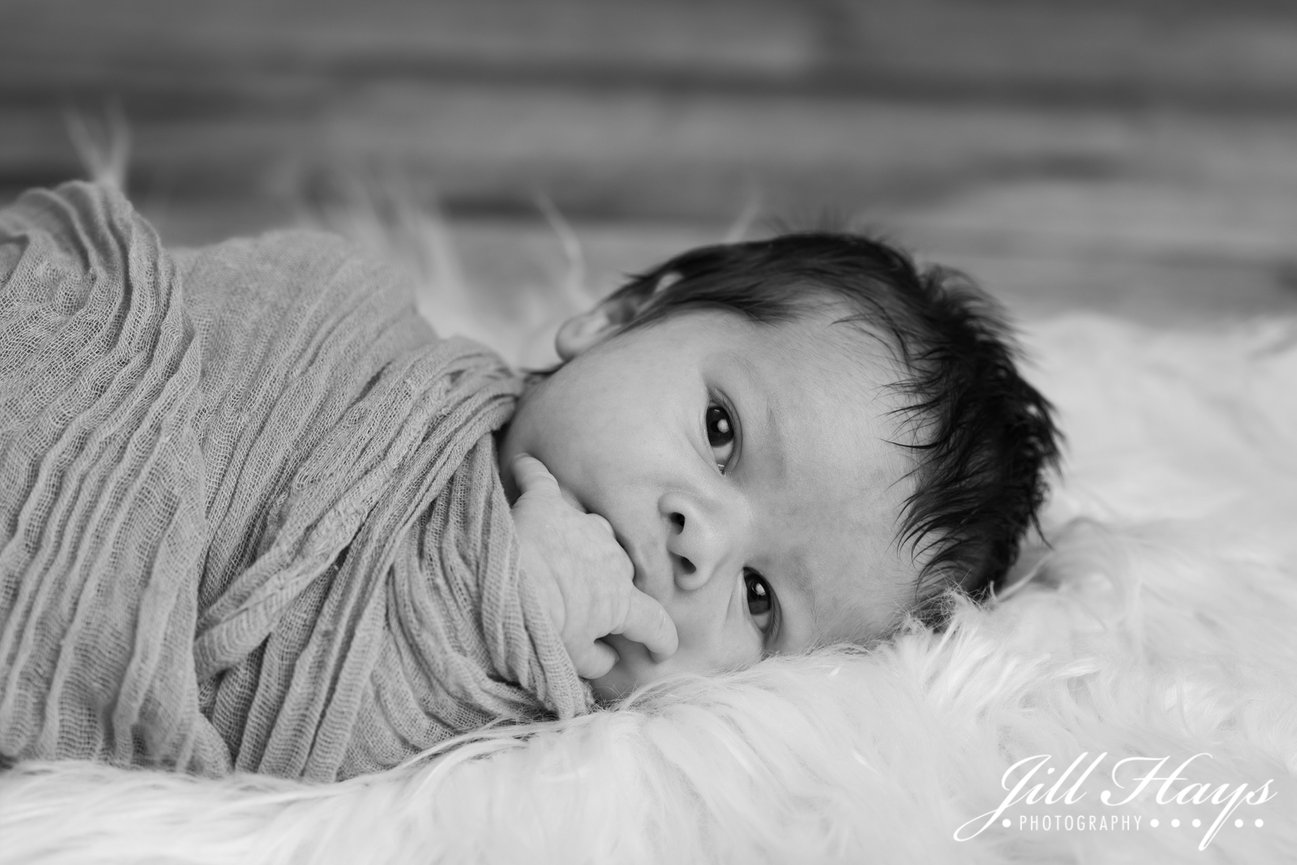 Windler Family Fall Portraits