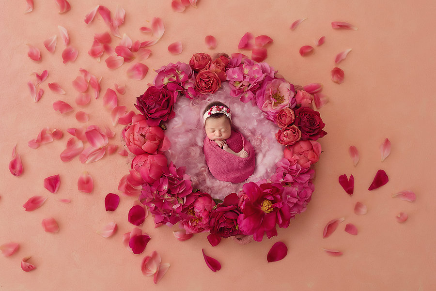 Los Angeles Baby Photography Amelia