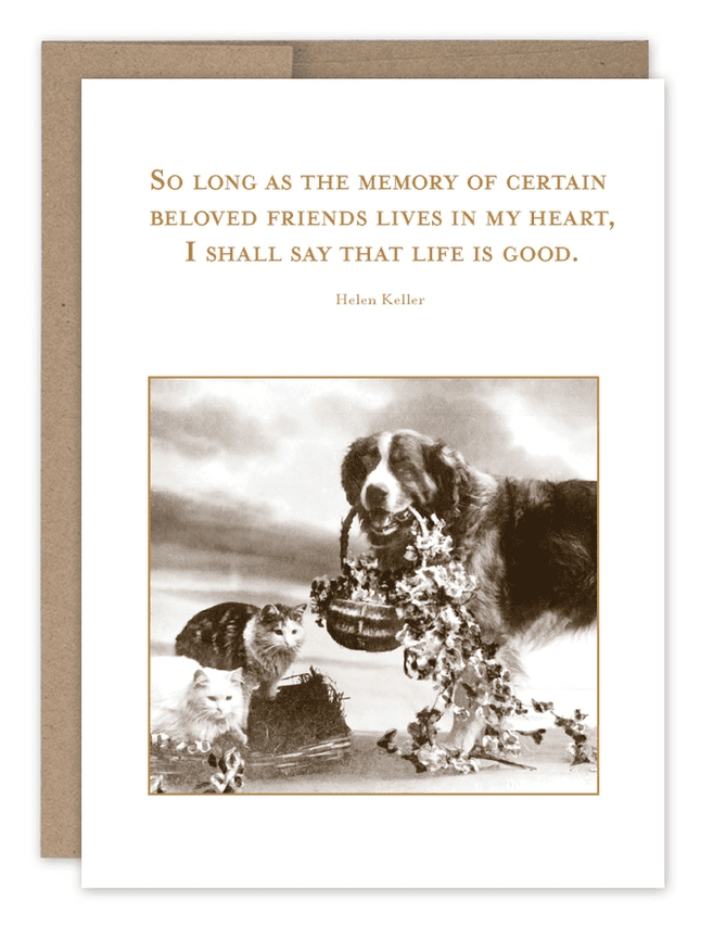 Pet Sympathy Card