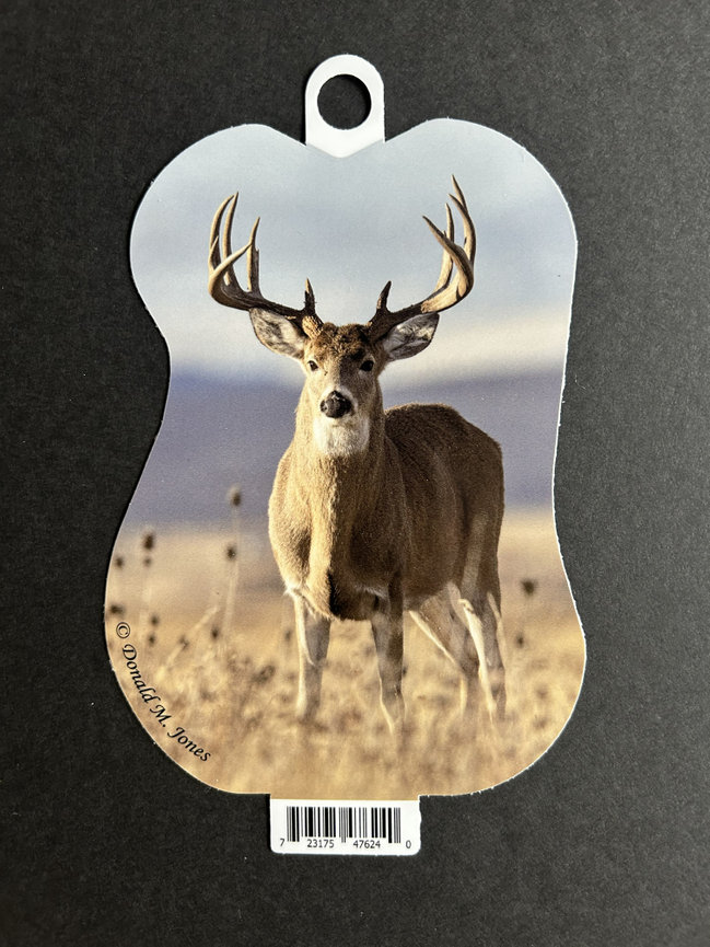 Whitetail Buck S6 700