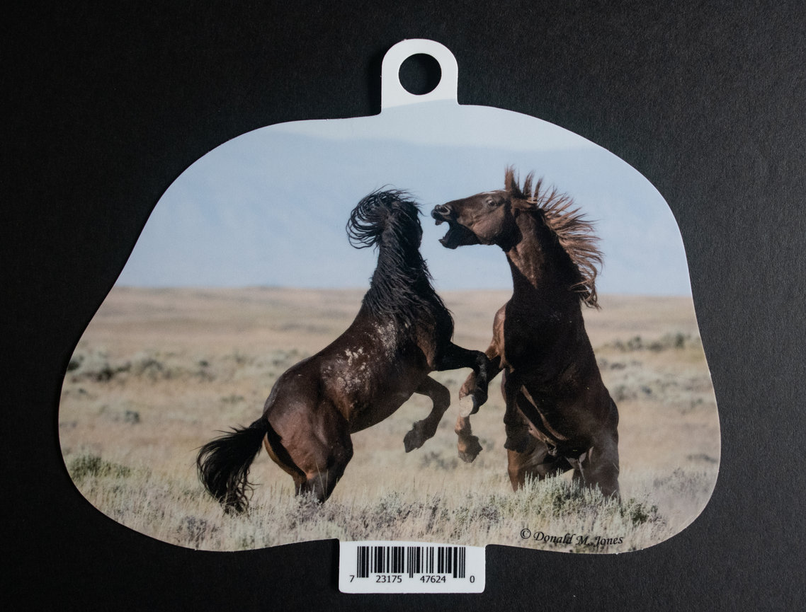 Wild Horse S6 735