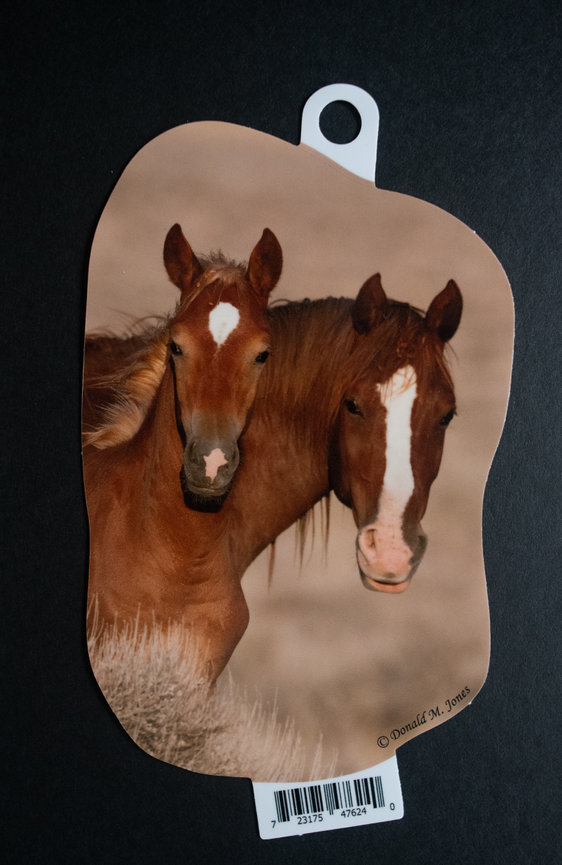 Wild Horse S6 737