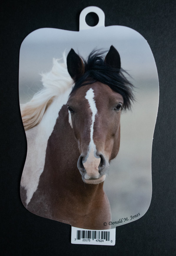Wild Horse S6 738