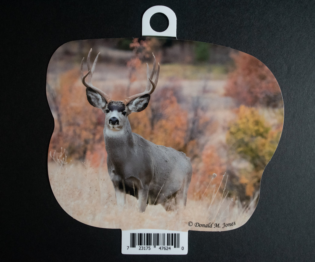 Mule Deer S6 715