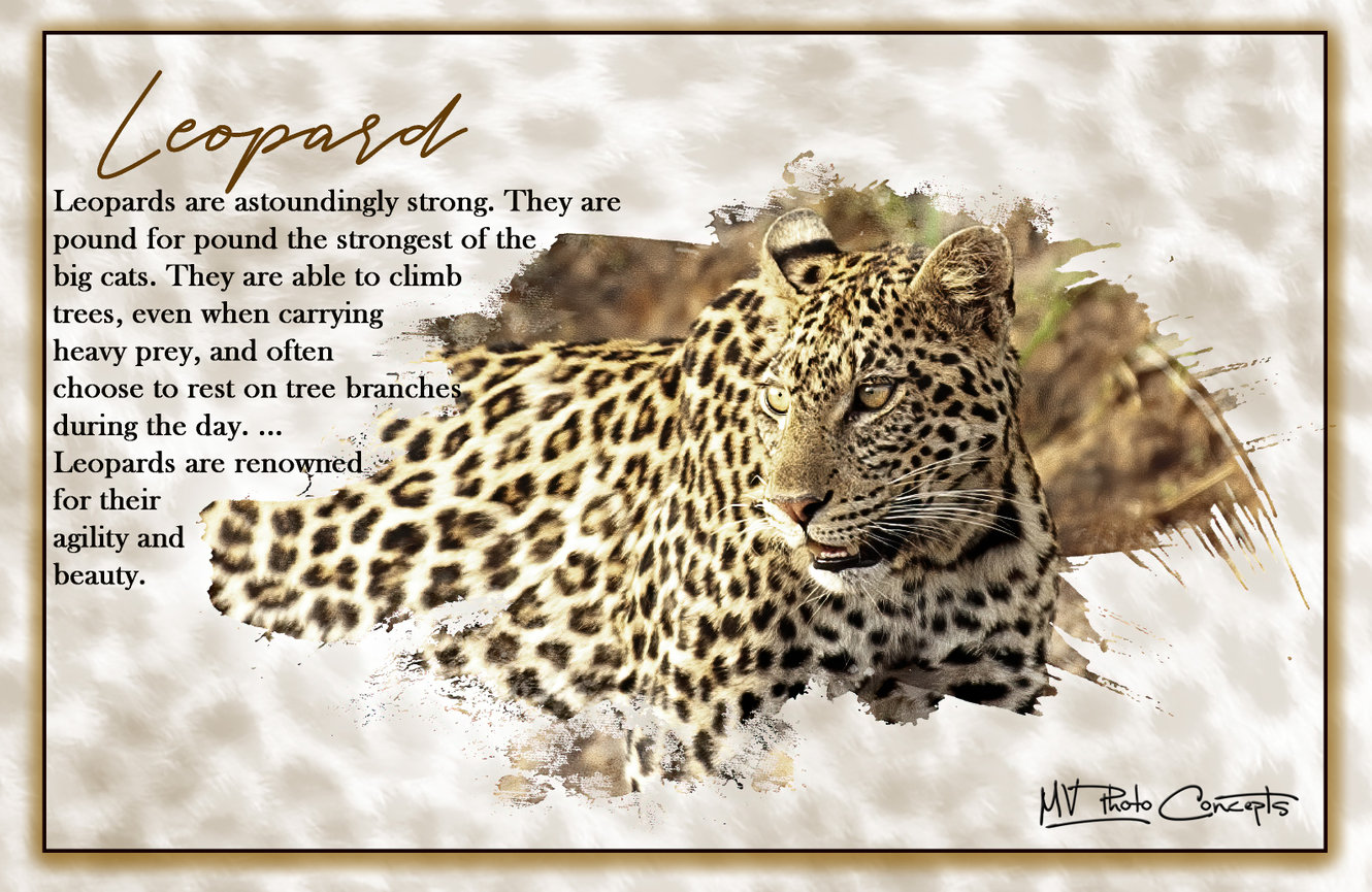 The gifts of Nature MV Photo Concepts