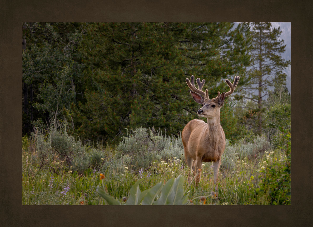 Exciting News: Featured on Bold Journey!