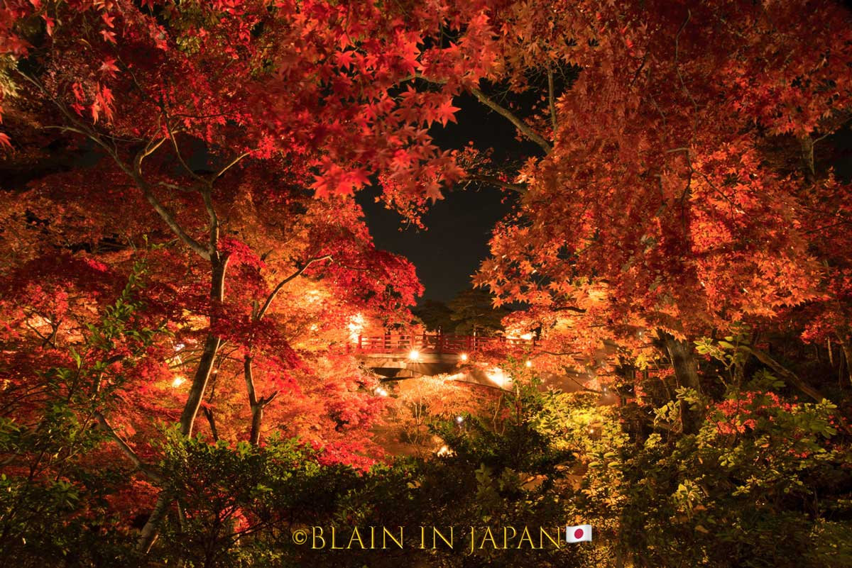 Yahiko Shrine: Discover Niigata’s Hidden Power Spot and Autumn Photography Paradise