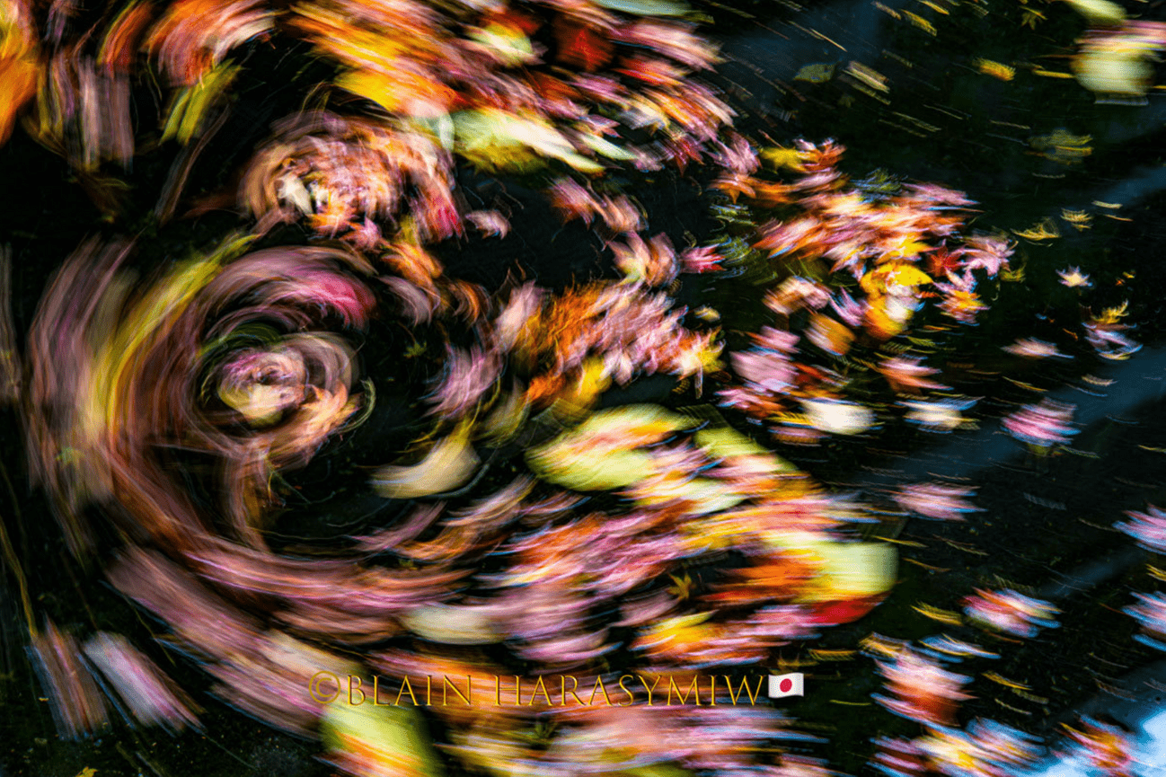 Japan Autumn Leaves Tour – Capture the Colors of Fall with JDS