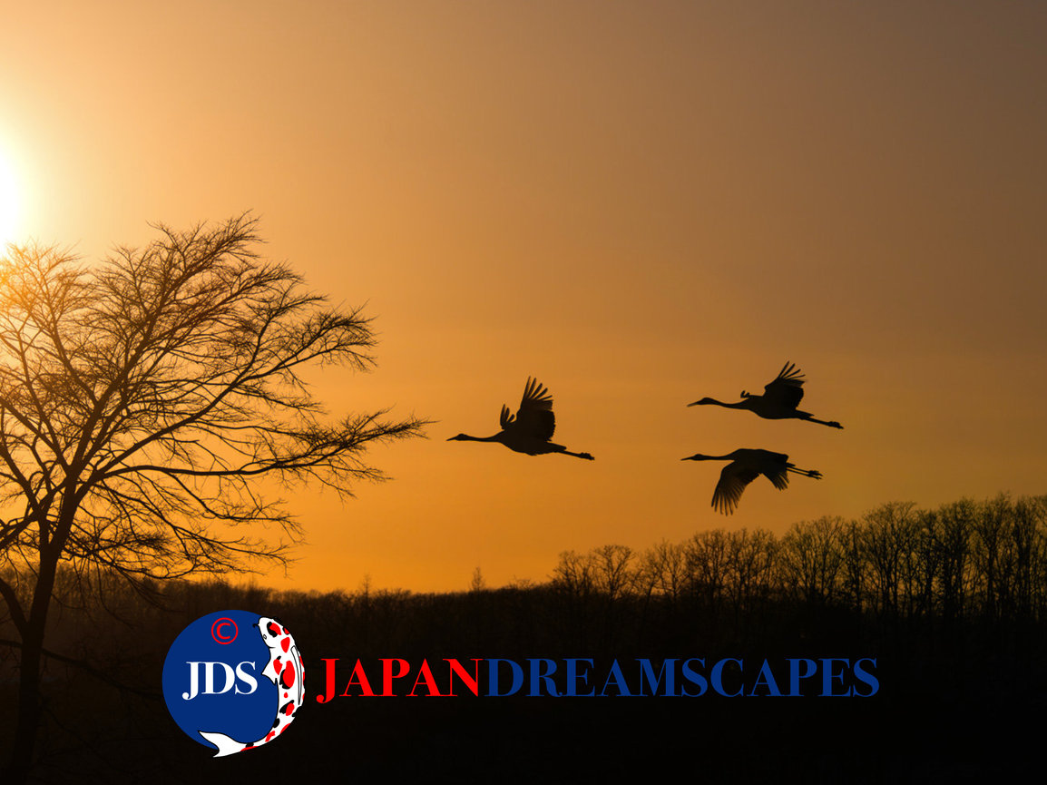 Discover Matsumoto Castle on a Hokkaido Photo Tour with JDS!